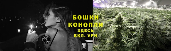 Альфа ПВП Кинешма