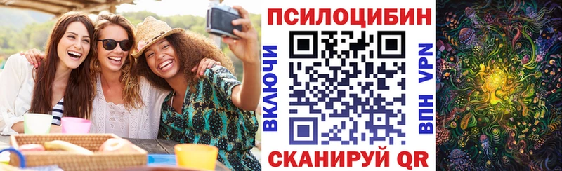 Псилоцибиновые грибы GOLDEN TEACHER  Купить  Солнечногорск 